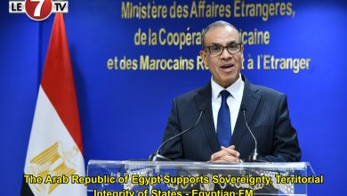 Photo of The Arab Republic of Egypt Supports Sovereignty, Territorial Integrity of States – Egyptian FM