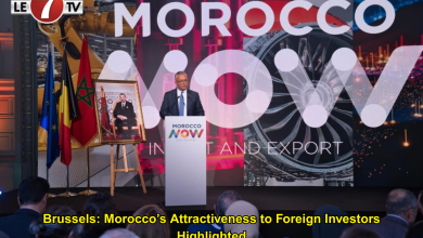 Photo of Brussels: Morocco’s Attractiveness to Foreign Investors Highlighted