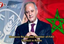 Photo of Morocco Re-elected Member of FAO Council in Rome