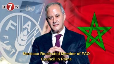 Photo of Morocco Re-elected Member of FAO Council in Rome