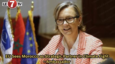 Photo of EU Sees Morocco as Strategic Partner in Climate Fight – Ambassador