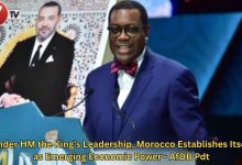 Photo of Under HM the King’s Leadership, Morocco Establishes Itself as Emerging Economic Power – AfDB Pdt