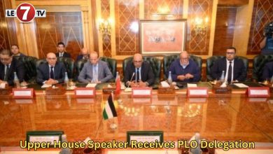 Photo of Upper House Speaker Receives PLO Delegation