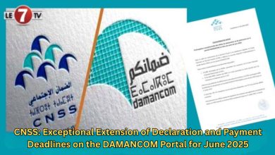 Photo of CNSS: Exceptional Extension of Declaration and Payment Deadlines on the DAMANCOM Portal for June 2025