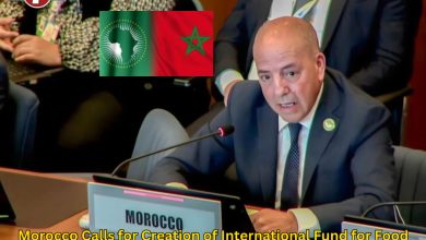 Photo of Morocco Calls for Creation of International Fund for Food Security in Africa at UNFSS+4