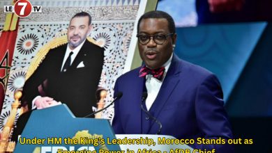 Photo of Under HM the King’s Leadership, Morocco Stands out as Emerging Power in Africa – AfDB Chief