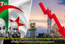 Photo of Collapse in Oil Prices: Algeria’s Economy Again Exposed by Its 98% Dependence on Hydrocarbons