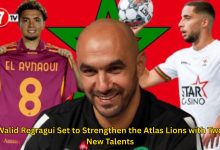 Photo of Walid Regragui Set to Strengthen the Atlas Lions with Two New Talents