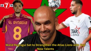 Photo of Walid Regragui Set to Strengthen the Atlas Lions with Two New Talents