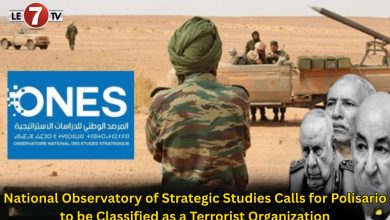 Photo of National Observatory of Strategic Studies Calls for Polisario to be Classified as a Terrorist Organization